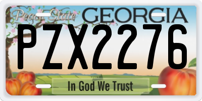 GA license plate PZX2276