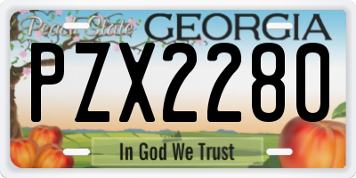 GA license plate PZX2280