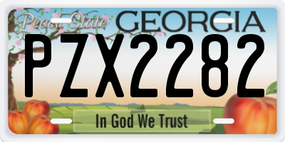 GA license plate PZX2282