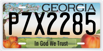 GA license plate PZX2285