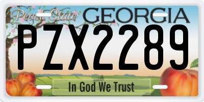 GA license plate PZX2289