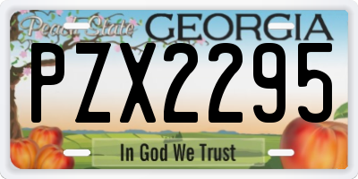 GA license plate PZX2295