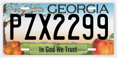 GA license plate PZX2299