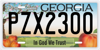 GA license plate PZX2300