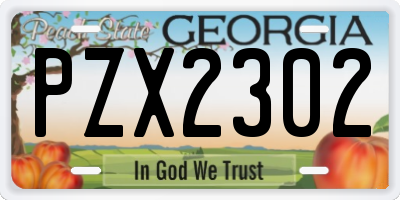 GA license plate PZX2302