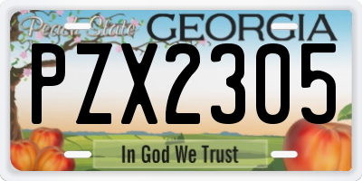 GA license plate PZX2305