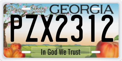 GA license plate PZX2312