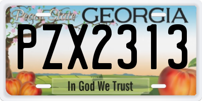 GA license plate PZX2313