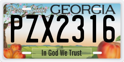 GA license plate PZX2316