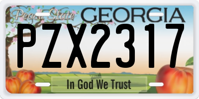 GA license plate PZX2317