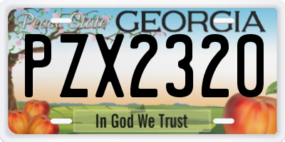 GA license plate PZX2320