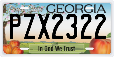 GA license plate PZX2322
