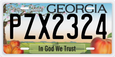 GA license plate PZX2324