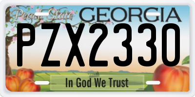 GA license plate PZX2330