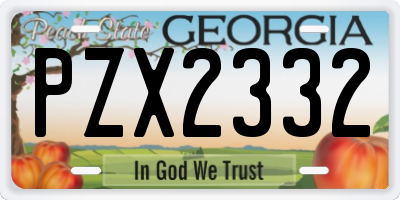 GA license plate PZX2332