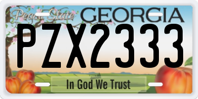 GA license plate PZX2333