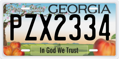 GA license plate PZX2334