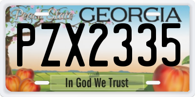 GA license plate PZX2335