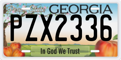 GA license plate PZX2336