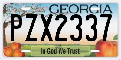 GA license plate PZX2337