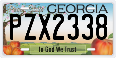 GA license plate PZX2338