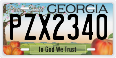 GA license plate PZX2340