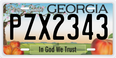 GA license plate PZX2343