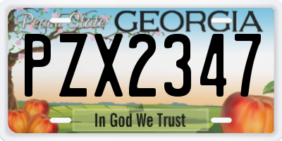 GA license plate PZX2347