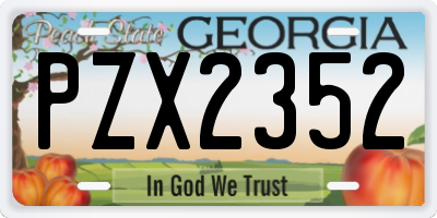GA license plate PZX2352