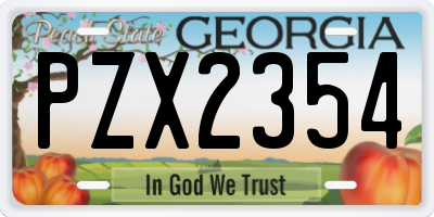 GA license plate PZX2354