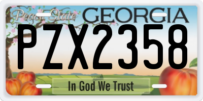 GA license plate PZX2358