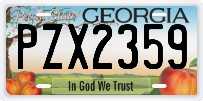 GA license plate PZX2359