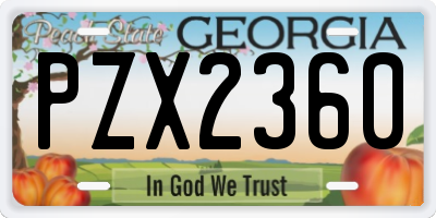 GA license plate PZX2360