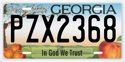 GA license plate PZX2368