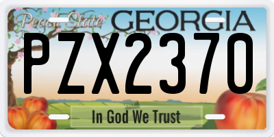GA license plate PZX2370