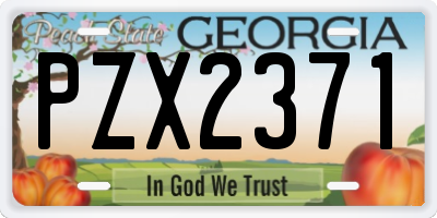 GA license plate PZX2371