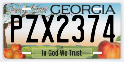 GA license plate PZX2374