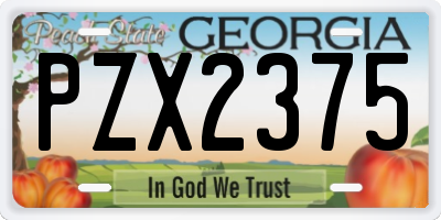 GA license plate PZX2375
