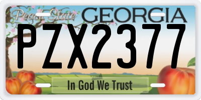 GA license plate PZX2377