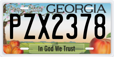 GA license plate PZX2378