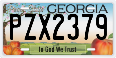 GA license plate PZX2379