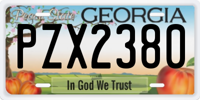 GA license plate PZX2380