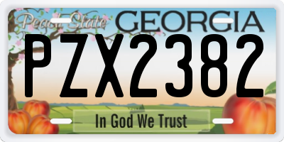 GA license plate PZX2382