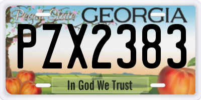 GA license plate PZX2383