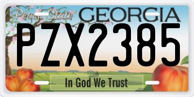 GA license plate PZX2385