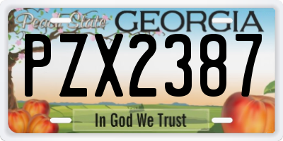 GA license plate PZX2387