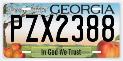 GA license plate PZX2388