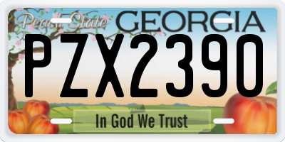 GA license plate PZX2390