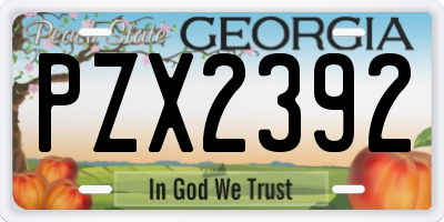 GA license plate PZX2392