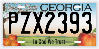 GA license plate PZX2393